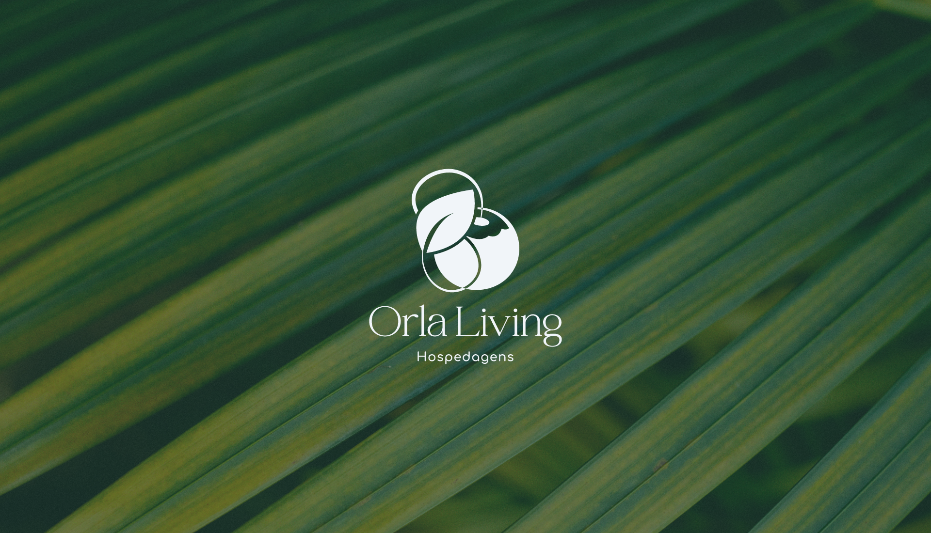 Orla Living